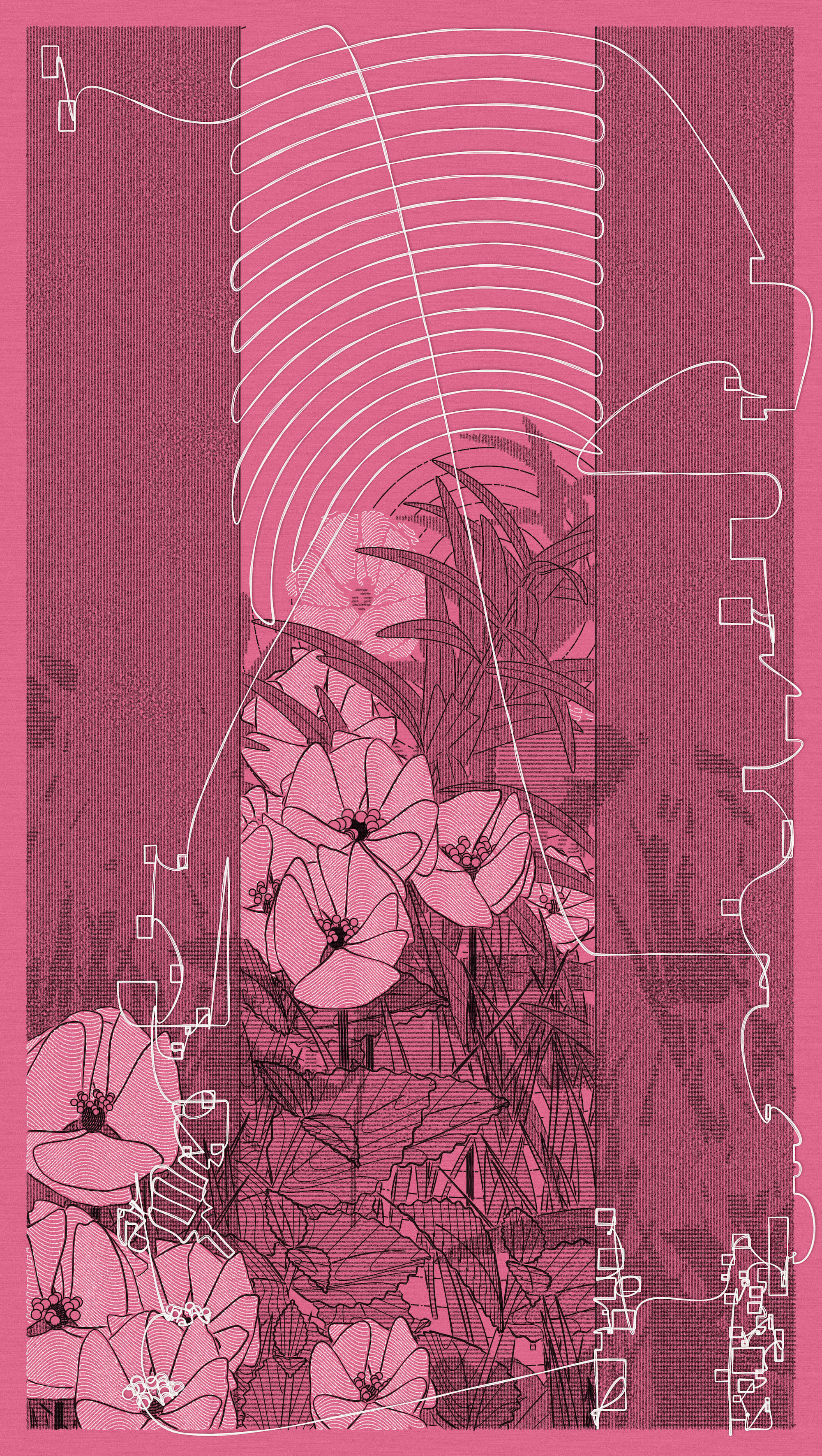 Will's #378 in portrait and pink