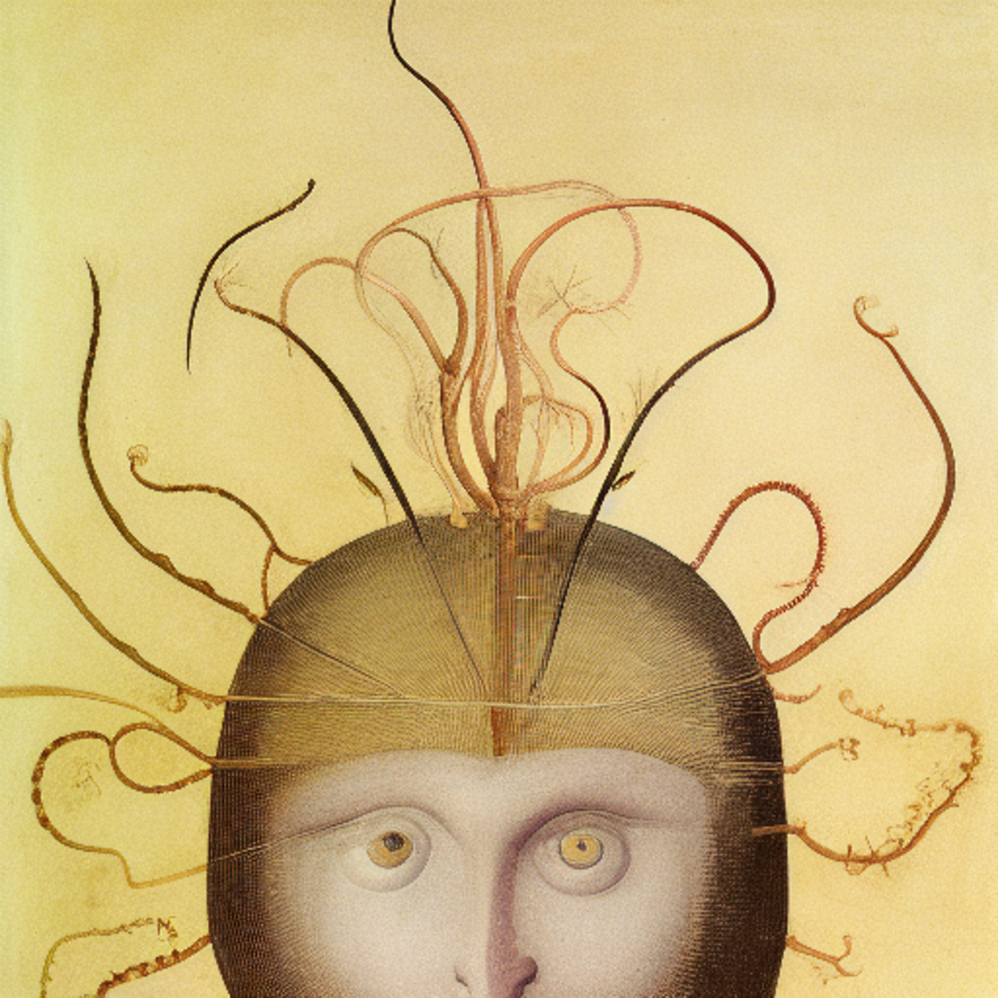 The Oracles #975 by Ira Greenberg