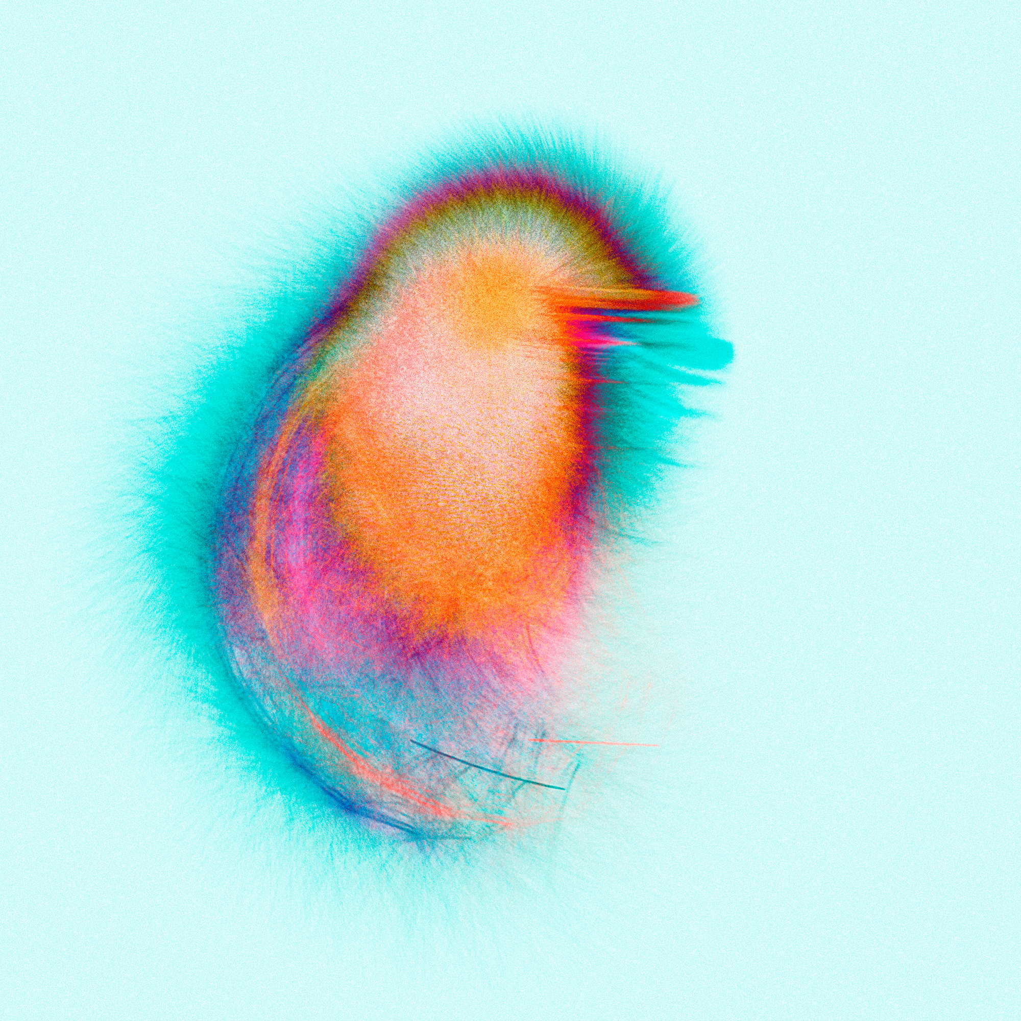 Psychedelic chicken à la mode, Iskra Velitchkova