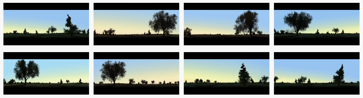 A series of Mornings
