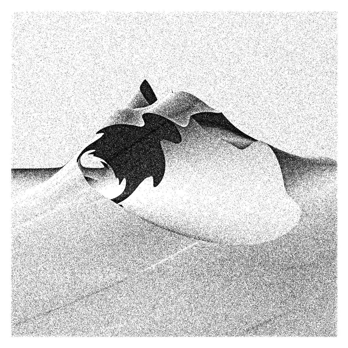 Impossible Dune, Piter Pasma