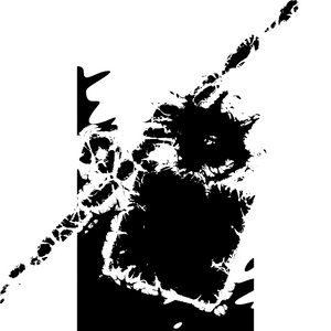 ANGRY NOISE