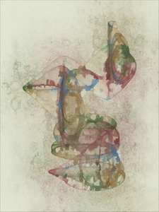 Circumscript #39