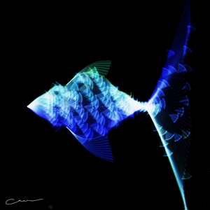 SoulFish