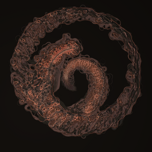coalescence