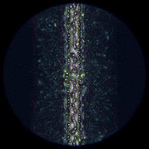 Ethereal Microcosm #148