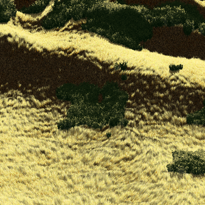 California Hills in Late Sun #151