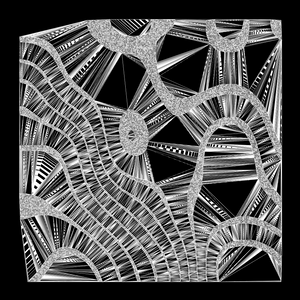 Fragments of a Wave #278