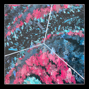 Fracture